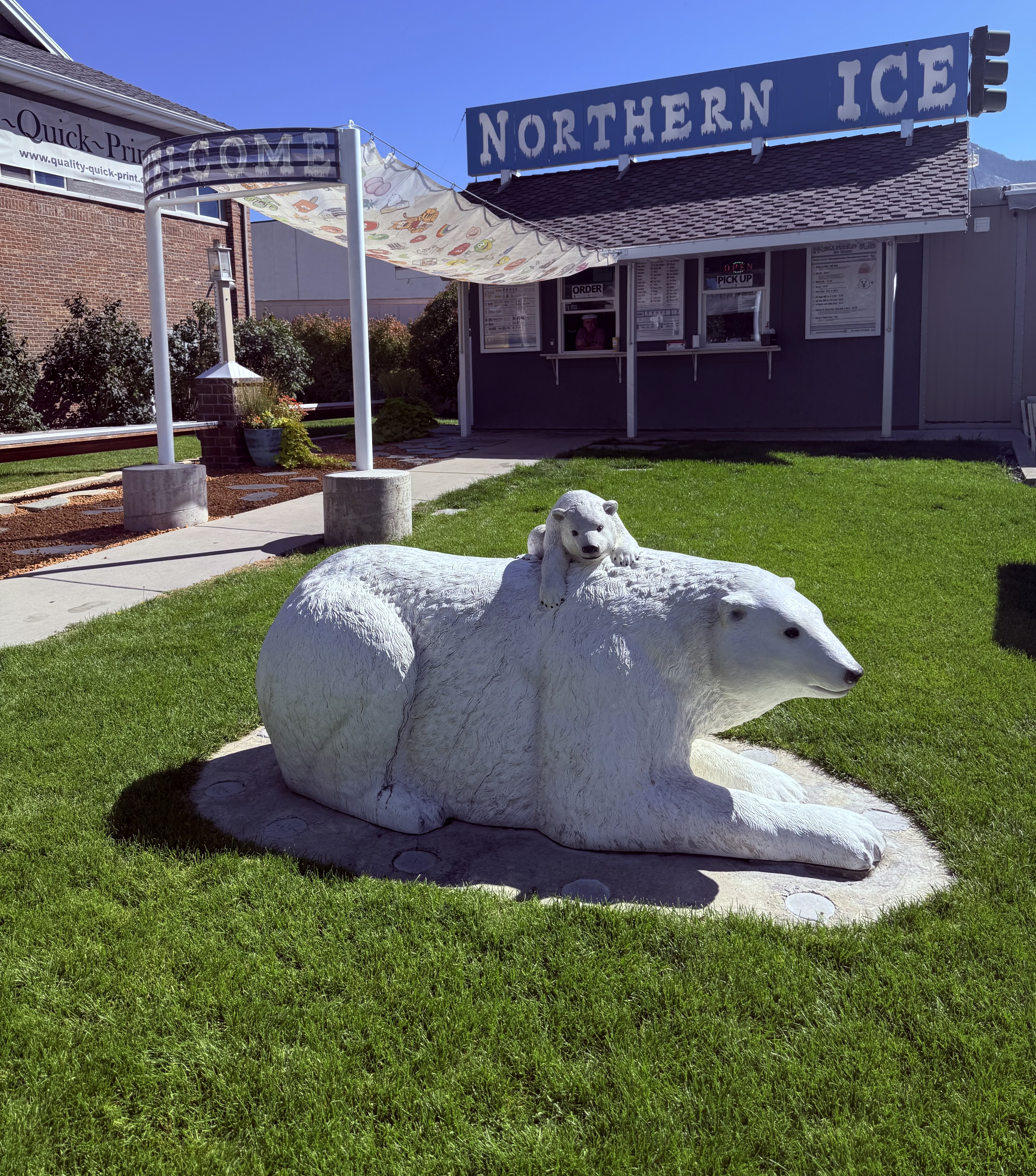 Northern Ice storefront with welcoming polar bear statues